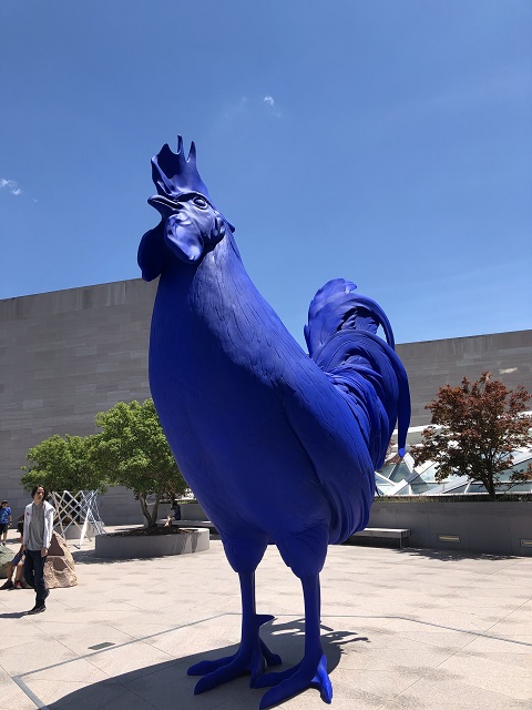 giant blue cock washington DC gallery of art