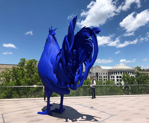 big blue cock national gallery dc art