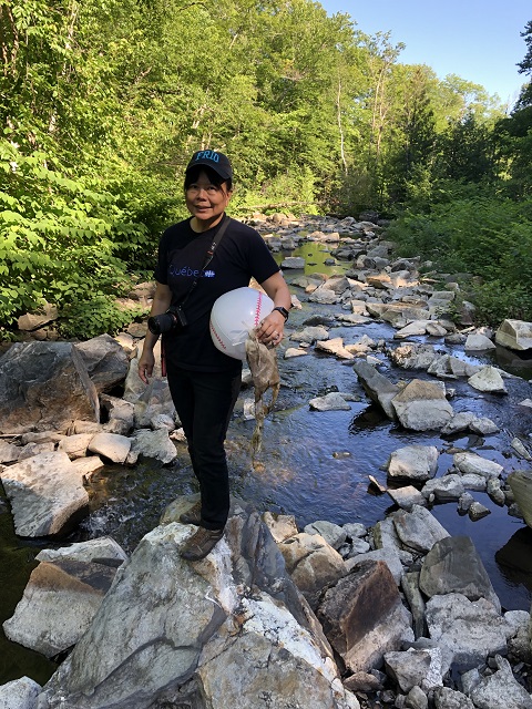 trash cleanup at joe's brook pond waterfall danville vt