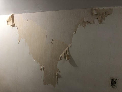vermont summer project 2019 hardwick NEK wallpaper