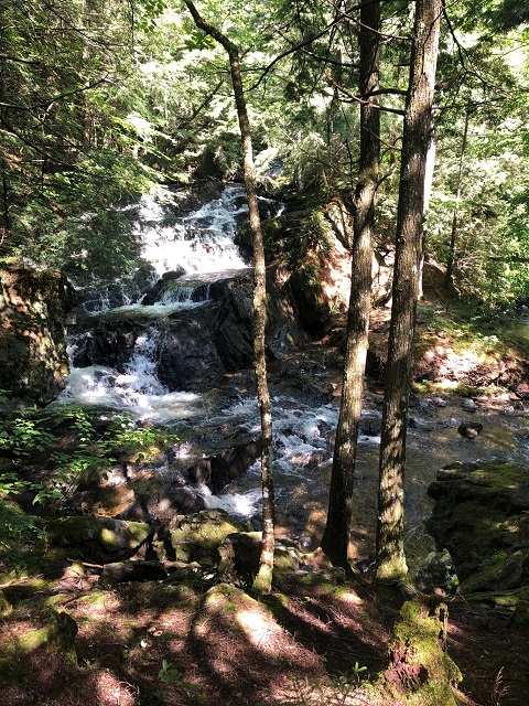 jeudevine falls vermont hardwick 