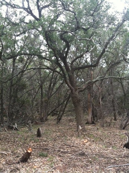 summer stick carrying job summer stick carrying job