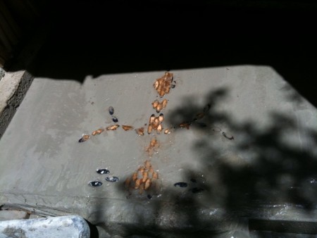 random pattern... random pattern...