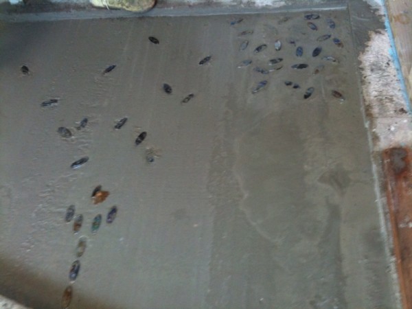 more random more random