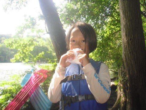 red bud island gluttony