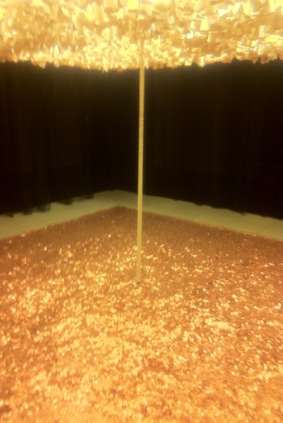 blanton museum of art cildo meireles