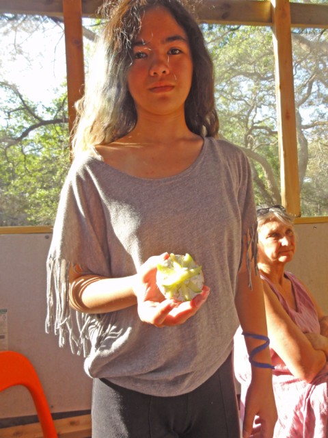cheese cracker and granny smith apple art