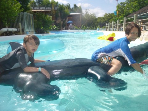 lazy river schlitterbahn