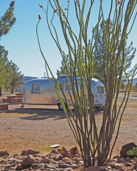 lost alaskan rv park alpine tx lost alaskan rv park alpine tx
