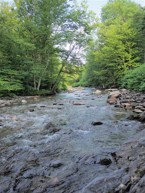 northern lights hotel stowe vt river behind