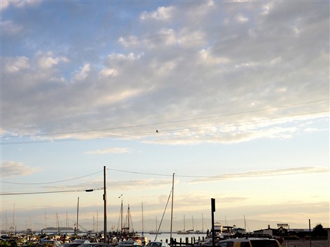 burlington sunset over the lake
