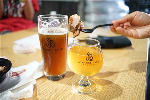 Strange Land Brewing Co Austin Westlake 