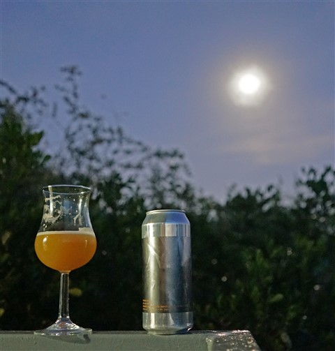 mylar bags beer other half full moon 2017 austin tx