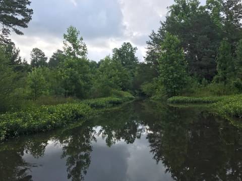 green space park at fort bragg