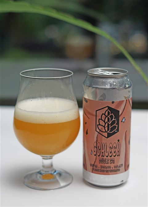 schleem neipa dallas turning point brewery