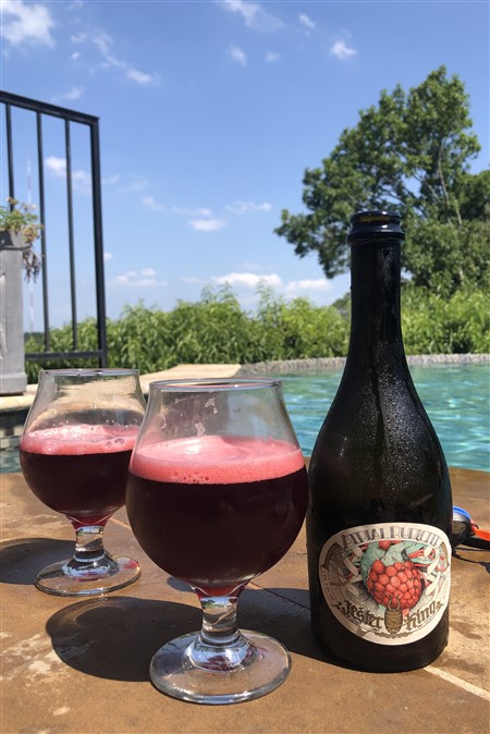 jester king fruit sour beer