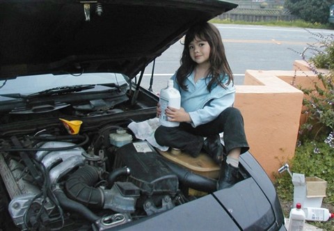 santa cruz porsche 944 oil change 