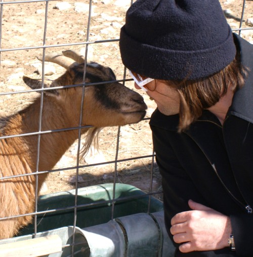 goat kiss