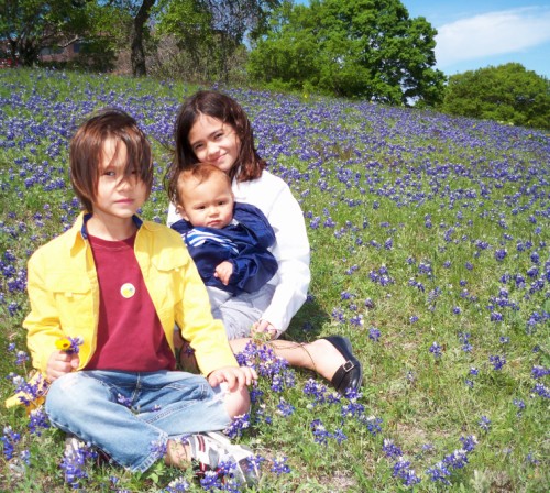 central texas blue bonnets