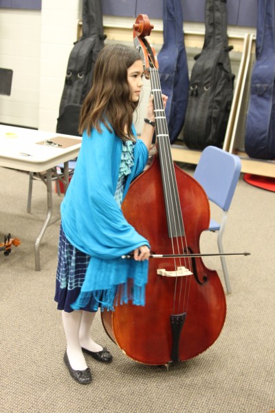 upright string bass