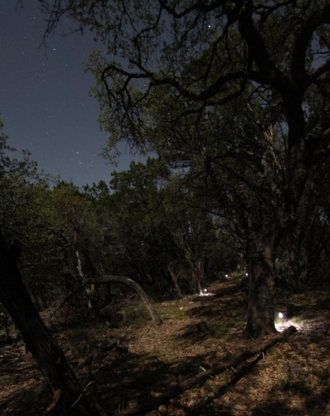 solar landscape lights