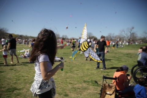 bee kite zilker march 2012 bee kite zilker march 2012
