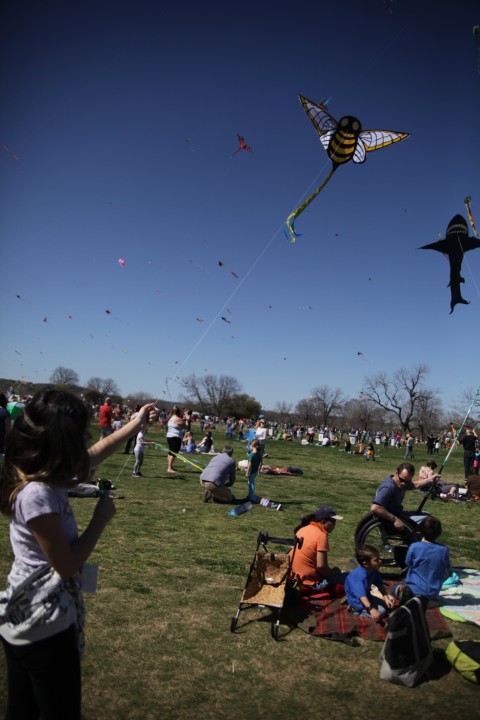 our bee kite takes flight zilker park austin our bee kite takes flight zilker park austin