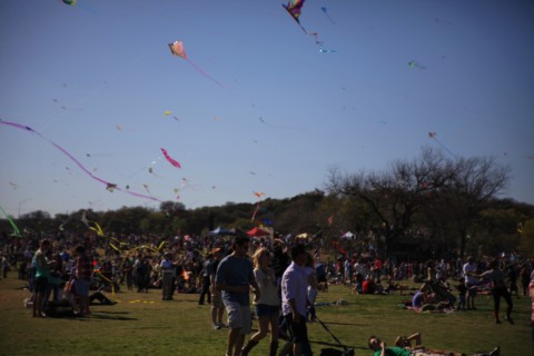 kite stuck in tree zilker park kite festival 2012 kite stuck in tree zilker park kite festival 2012
