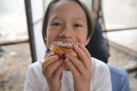 wimberley donut with sprinkles wimberley donut with sprinkles