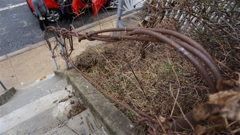 3341 falls rd baltimore md