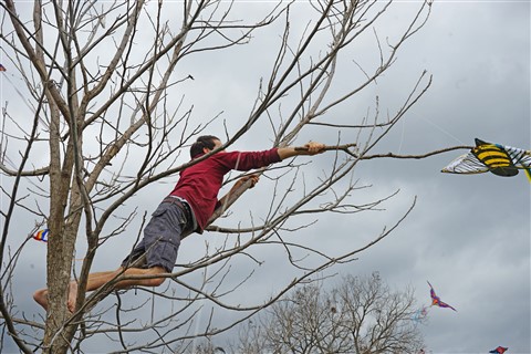 zilker kite festival rescue 2016