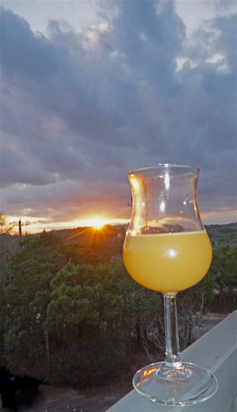 trillium brewing boston mettle dipa