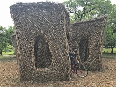 Patrick Dougherty stick art austin pease park