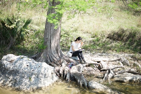 blanco river rapids hoa water park wimberley fischer 