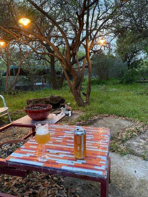 mesquite tree west lake hills austin 78746