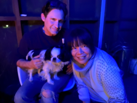 goji the japanese chin 
