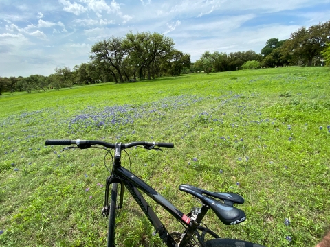 spring 2020 virus bike zilker park austin bluebonnets