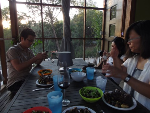 lamb shank feast lamb shank feast