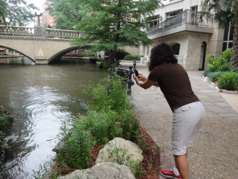 iphone photographer captures bird iphone photographer captures bird