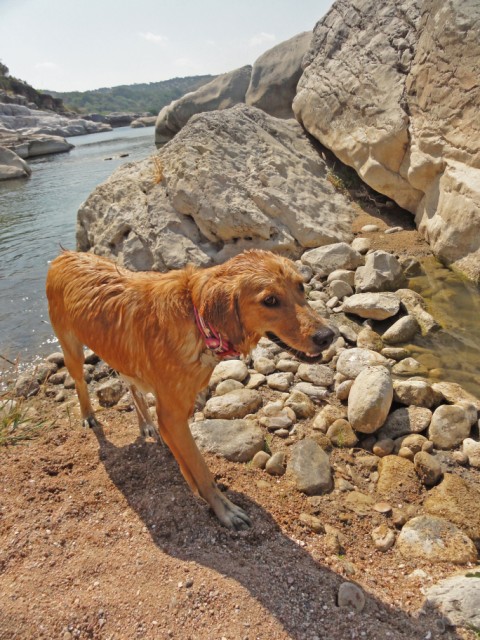 betty in the river betty in the river