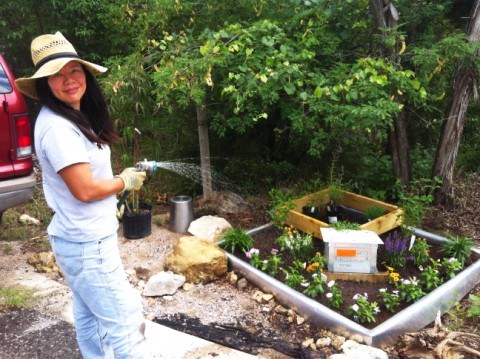 flower box austin tx west lake hills flower box austin tx west lake hills