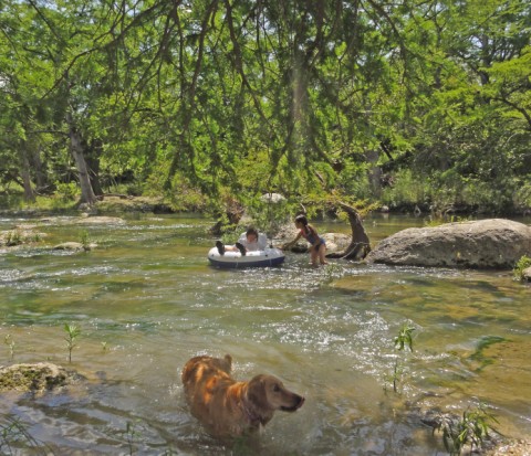 tube the blanco river wimberley fischer tx tube the blanco river wimberley fischer tx