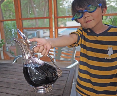 wine decanter wine decanter