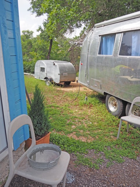 juniper tree austin juniper tree austin