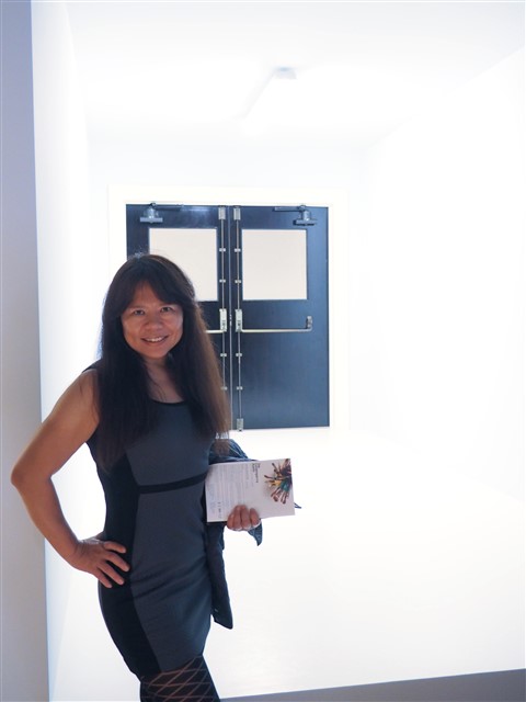 robert therrien artist contemporary art austin