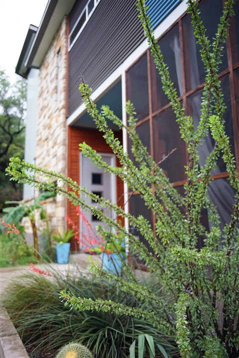 austin rain of may 2015