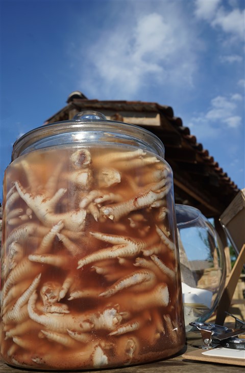 contigo jar of chicken feet contest
