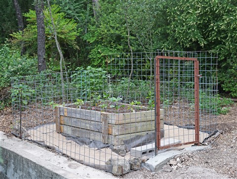 west lake hills deer protection gardening