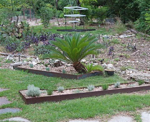 sago palm recovery 78746 spring