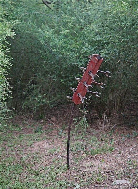 paul schuster sculptor garden 78746 austin westlake 